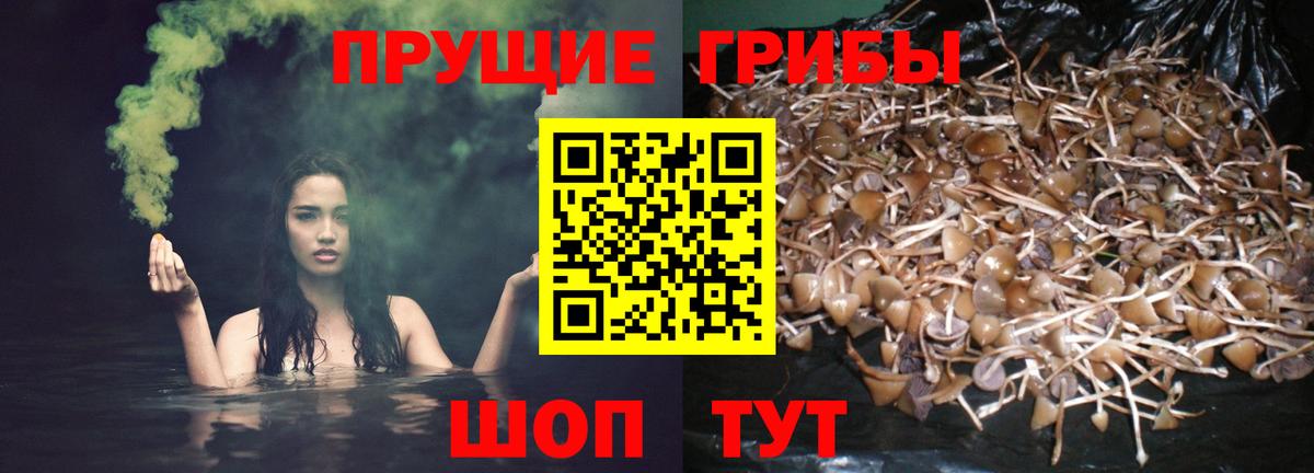 Галлюциногенные грибы мухоморы Усть-Джегута